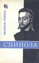 Спиноза - В. В. Соколов