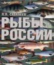 Рыбы России - Л. П. Сабанеев