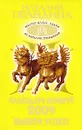 Календарь фэншуй 2009. Выбери успех! - Наталия Правдина