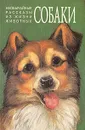 Необычайные рассказы из жизни животных. Собаки. Волки - Гржимек Бернхард, Сетон-Томпсон Эрнест