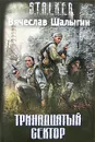 Тринадцатый сектор - Вячеслав Шалыгин