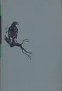 Таксидермия птиц. Изготовление чучел птиц, скелетов и музейных препаратов - Заславский Михаил Абрамович