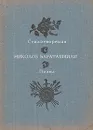 Николоз Бараташвили. Стихотворения. Поэма - Николоз Бараташвили