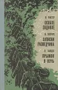 Особое задание. Записки разведчика. Прыжок в ночь - В. Рихтер, В. Пипчук, М. Зайцев