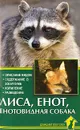 Лиса, енот, енотовидная собака. Описание видов. Содержание в зооуголке. Кормление. Разведение - А. Рахманов