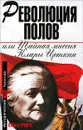 Революция полов, или Тайная миссия Клары Цеткин - Грейгъ Ольга Ивановна