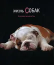 Жизнь собак - Аральдо де Лука