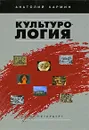 Культурология - Анатолий Кармин