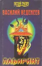 Лабиринт - Василий Веденеев
