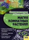 Магия комнатных растений - Ирина Иванова