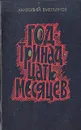 Год - тринадцать месяцев - Анатолий Емельянов