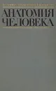 Анатомия человека - Привес Михаил Григорьевич, Лысенков Николай Константинович