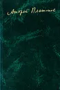 Записные книжки. Материалы к биографии - Андрей Платонов