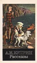 А. И. Куприн. Рассказы - Куприн Александр Иванович