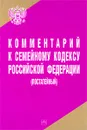 Комментарий к Семейному кодексу Российской Федерации (постатейный) - А. В. Вишнякова, В. М. Хинчук