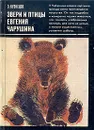 Звери и птицы Евгения Чарушина - Э. Кузнецов