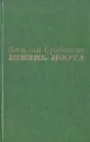 Жизнь поэта - Субботин Василий Ефимович