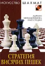 Стратегия висячих пешек - Адриан Михальчишин, Олег Стецко