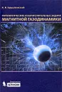 Математические и вычислительные задачи магнитной газодинамики - К. В. Брушлинский