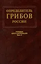 Определитель грибов. Семейства ателиевые и амилокортициевые - И. В. Змитрович