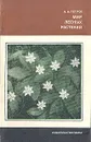 Мир лесных растений - В. В. Петров