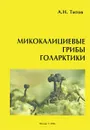 Микокалициевые грибы Голарктики - А. Н. Титов