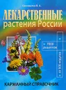 Лекарственные растения России. Карманный справочник - В. А. Соловьева
