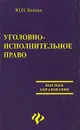 Уголовно-исполнительное право - Блохин Юрий Иванович