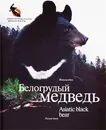 Белогрудый медведь / Asiatic Black Bear - Александр Баталов