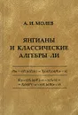 Янгианы и классические алгебры Ли - А. И. Молев