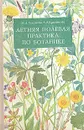 Летняя полевая практика по ботанике - М. А. Гуленкова, А. А. Красникова