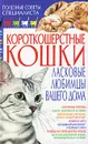 Короткошерстные кошки. Ласковые любимцы вашего дома - Н. В. Хаткина