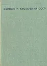 Деревья и кустарники СССР - Н. А. Бородина, В. И. Некрасов, Н. С. Некрасова