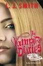 The Vampire Diaries: Fury and Dark Reunion - L. J. Smith