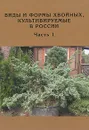 Виды и формы хвойных, культивируемые в России. Часть 1 - Д. Л. Матюхин, О. С. Манина, Н. С. Королева