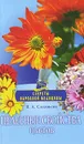 Целебные свойства цветов - В. А. Соловьева