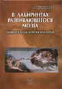 В лабиринтах развивающегося мозга. Шифры и коды нейропсихологии - А. В. Семенович