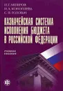 Казначейская система исполнения бюджета в Российской Федерации - И. Г. Акперов, И. А. Коноплева, С. П. Головач