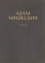 Адам Мицкевич. Жизнь и творчество в документах, портретах и иллюстрациях - Мария Капусьценская,Ванда Марковская