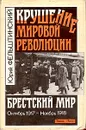 Крушение мировой революции. Брестский мир. Октябрь 1917 - ноябрь 1918 - Юрий Фельштинский