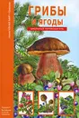 Грибы и ягоды - С. Ю. Афонькин