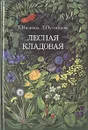 Лесная кладовая - Иванова Тамара Николаевна, Путинцева Лидия Филипповна