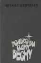 Только бы одну весну - Михаил Шевченко
