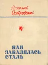 Как закалялась сталь - Островский Николай Алексеевич