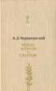 Между жизнью и смертью - А. Л. Черняховский