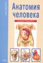 Анатомия человека - Афонькин Сергей Юрьевич, Канивец Татьяна В.