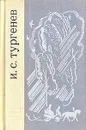 И. С. Тургенев. Избранное - Тургенев Иван Сергеевич