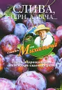 Слива, терн, алыча... Сорта, выращивание, календарь садовых работ - Н. М. Звонарев