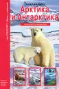 Арктика и Антарктика - С. Ю. Афонькин