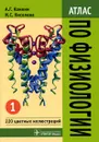 Атлас по физиологии. В 2 томах. Том 1 - А. Г. Камкин, И. С. Киселева